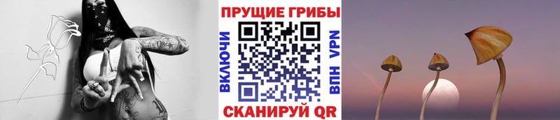 Галлюциногенные грибы Magic Shrooms  Чаплыгин 